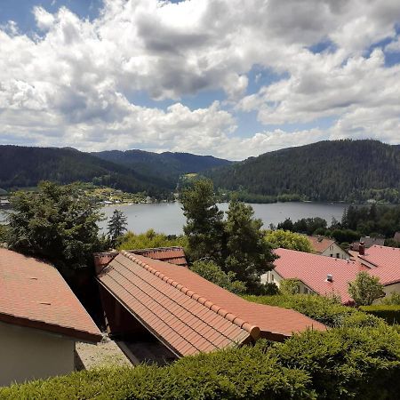 Esprit Myrtille Balcon Vue Lac Gerardmer Luaran gambar