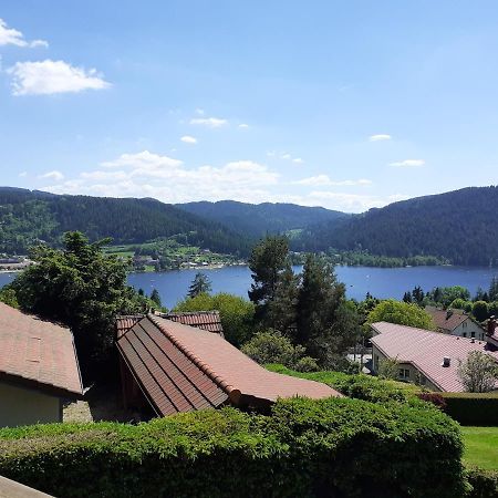 Esprit Myrtille Balcon Vue Lac Gerardmer Luaran gambar