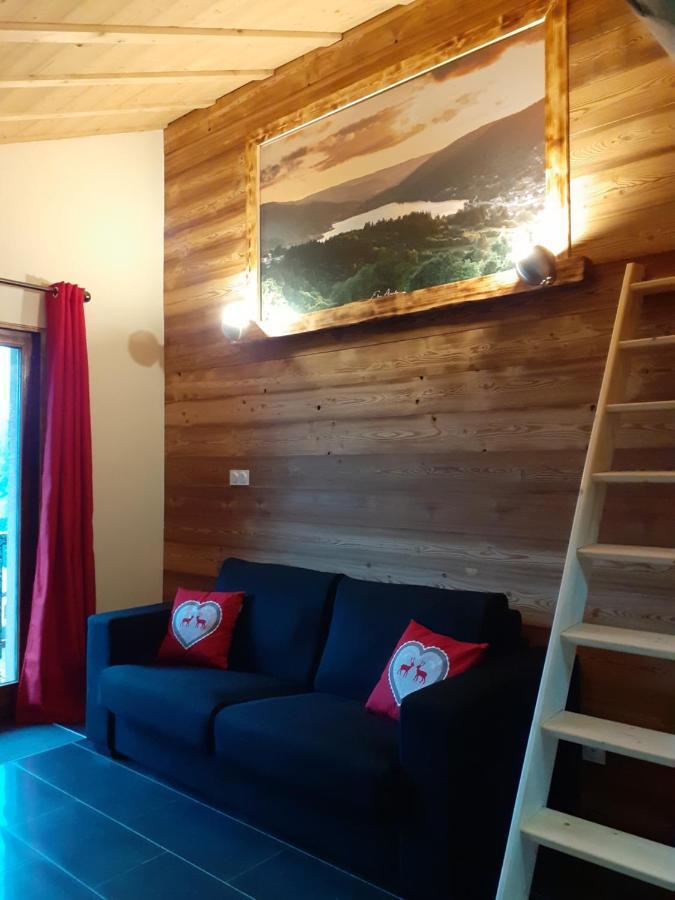 Esprit Myrtille Balcon Vue Lac Gerardmer Luaran gambar